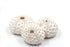 pale pink and white knobby sea urchin